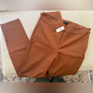 Talbots Women's Brown Chinos